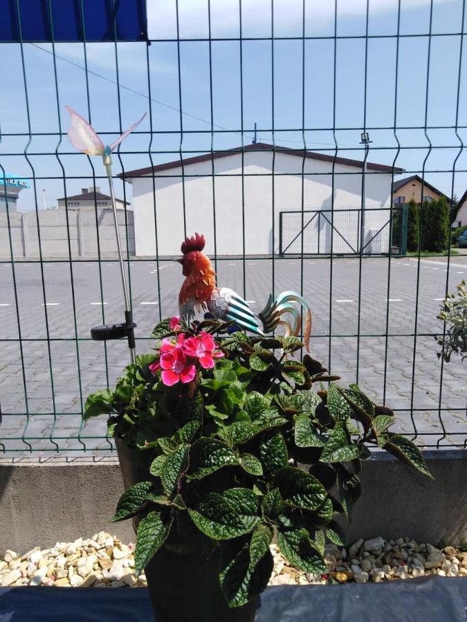 Krzyzanowice Pod Kogucikiemアパートホテル エクステリア 写真
