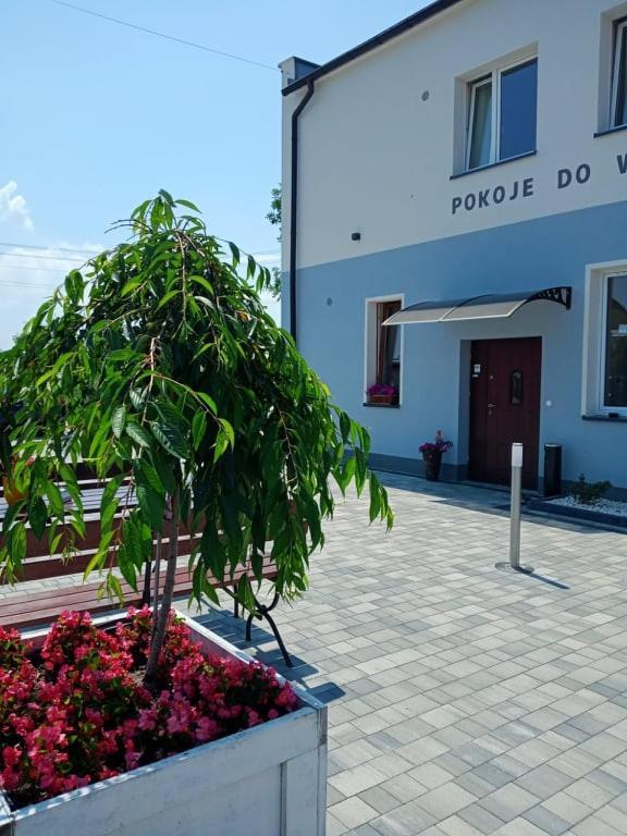 Krzyzanowice Pod Kogucikiemアパートホテル エクステリア 写真
