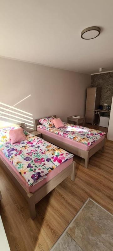 Krzyzanowice Pod Kogucikiemアパートホテル エクステリア 写真